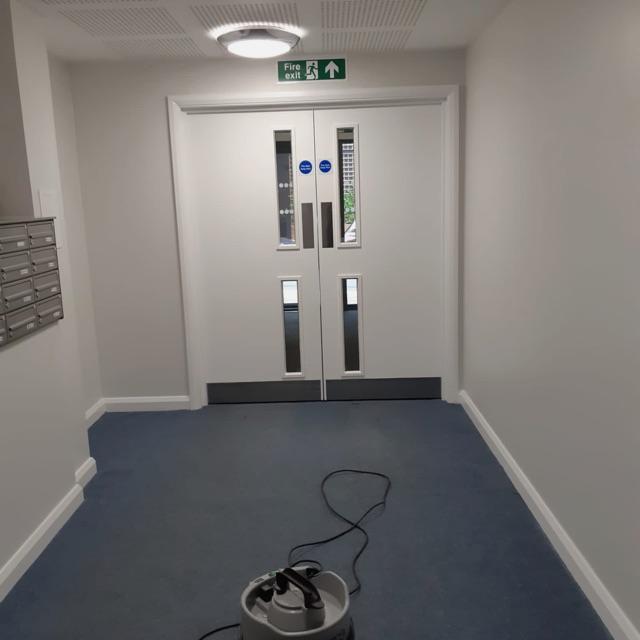 Cleaner