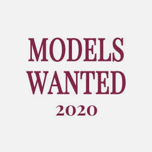 Fashion Model