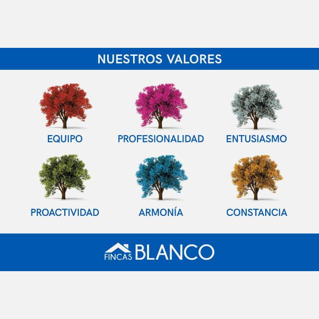 Asesor/a Inmobiliario