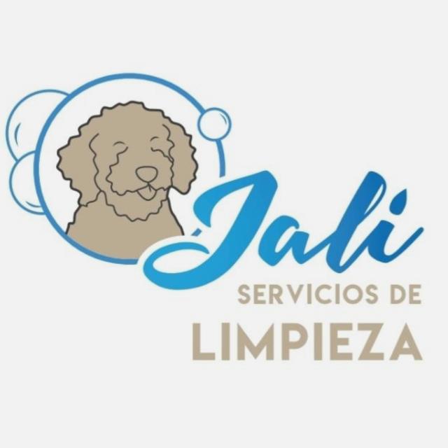 Limpiador/a