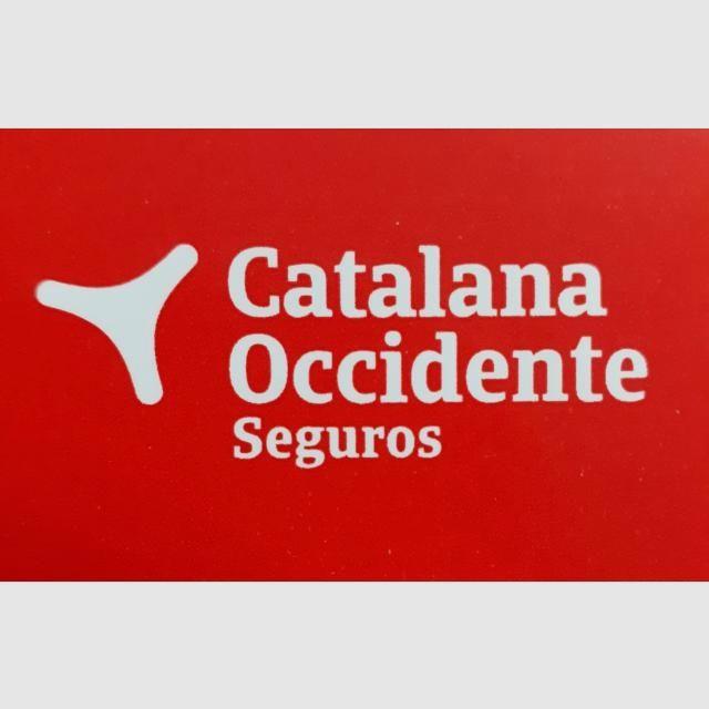Asesor/a Comercial Seguros