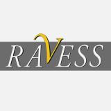 Ravess Spain avatar icon