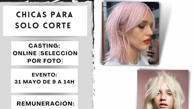 Modelo de Peluquería