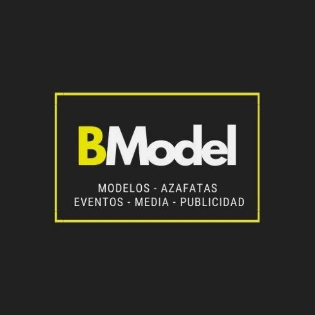 Diseñador Web