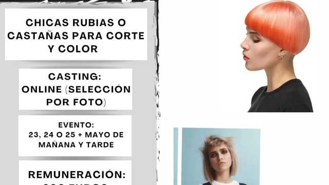 Modelo de Peluquería