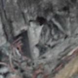 Francisco De frutos avatar icon