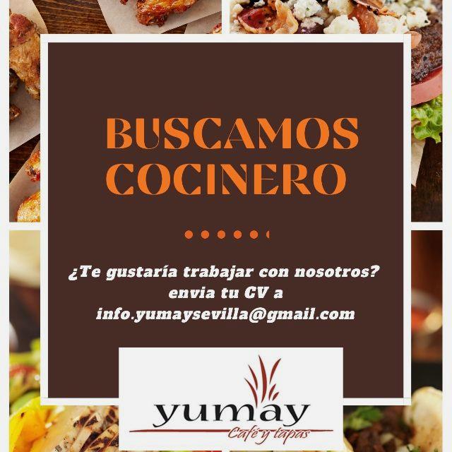 Ayudante/a de Cocina