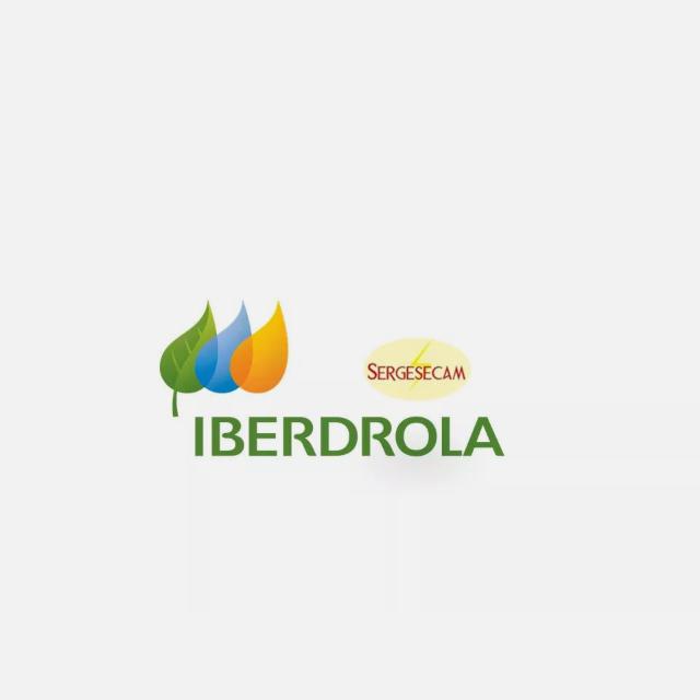 Promotor/a de Ventas