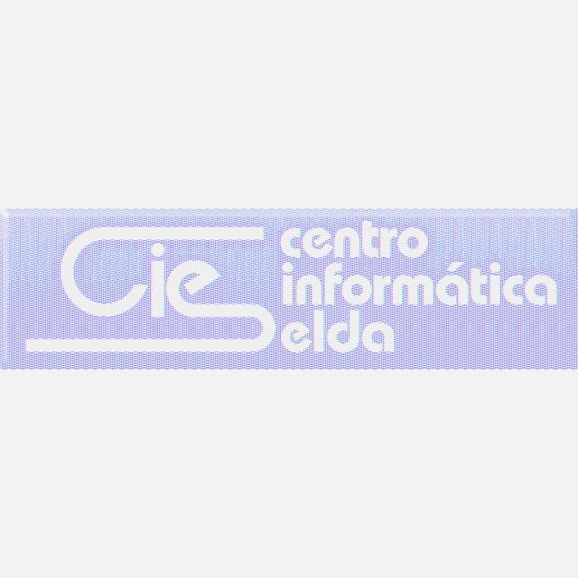 Técnico/a Informático/a
