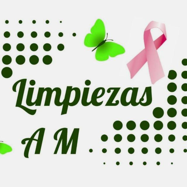 Limpiador/a