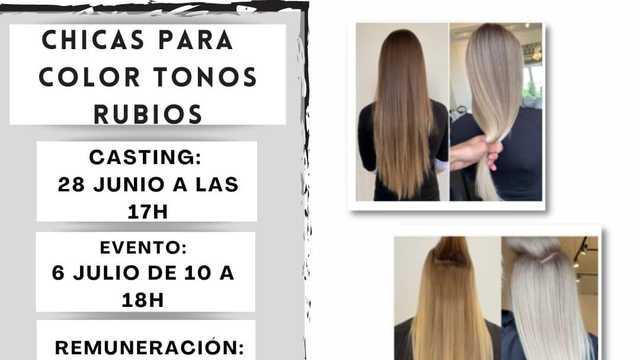 Modelo de Peluquería