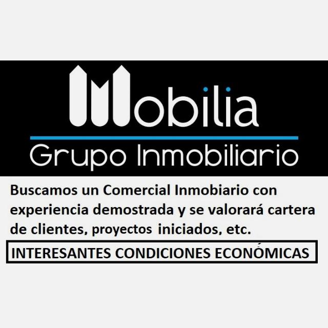 Agente Comercial