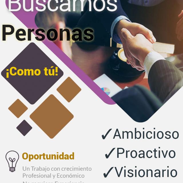 Sales Executive