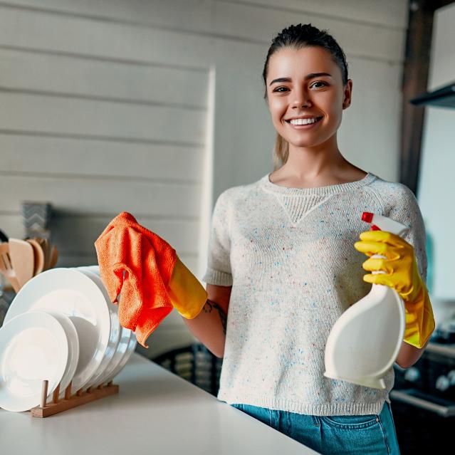 Domestic Cleaner