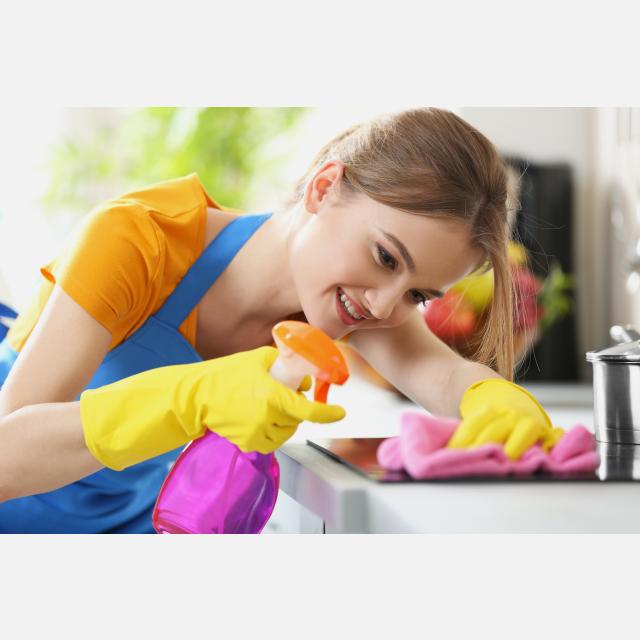 Domestic Cleaner