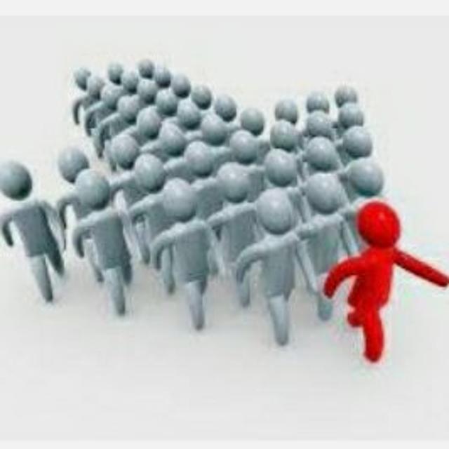 Jefe/a de Equipo