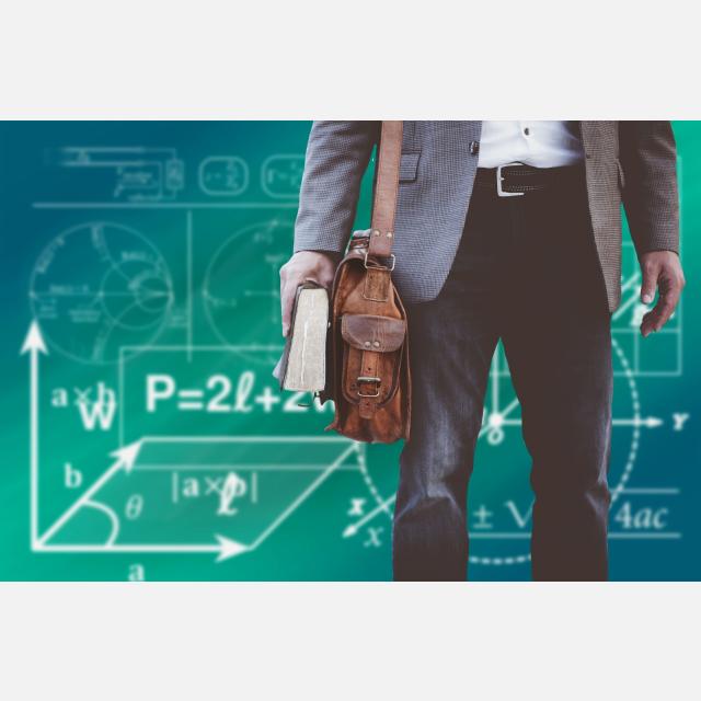 Profesor/a