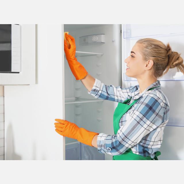 Domestic Cleaner