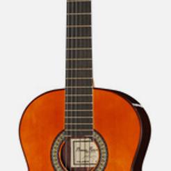 Profesor/a de Guitarra