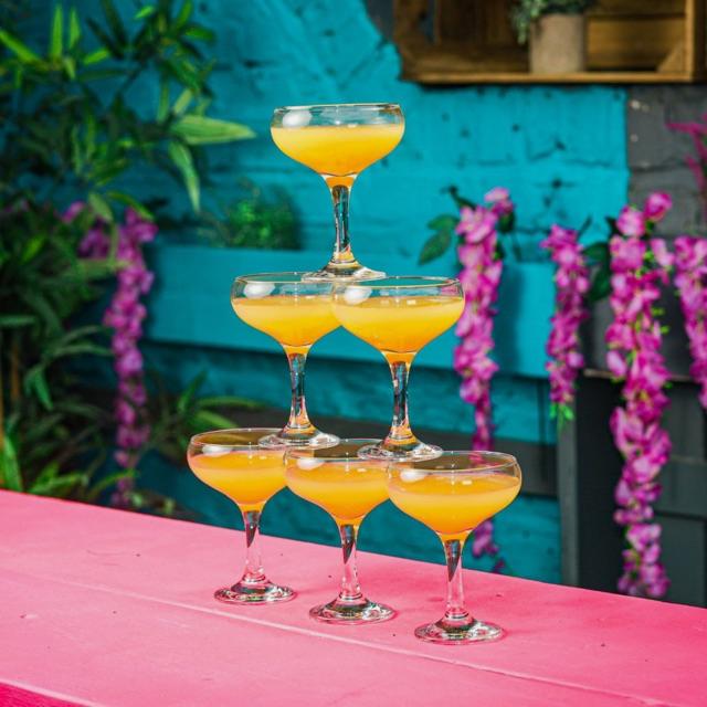 Cocktail Bartender