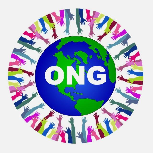 Promotor/a ONG