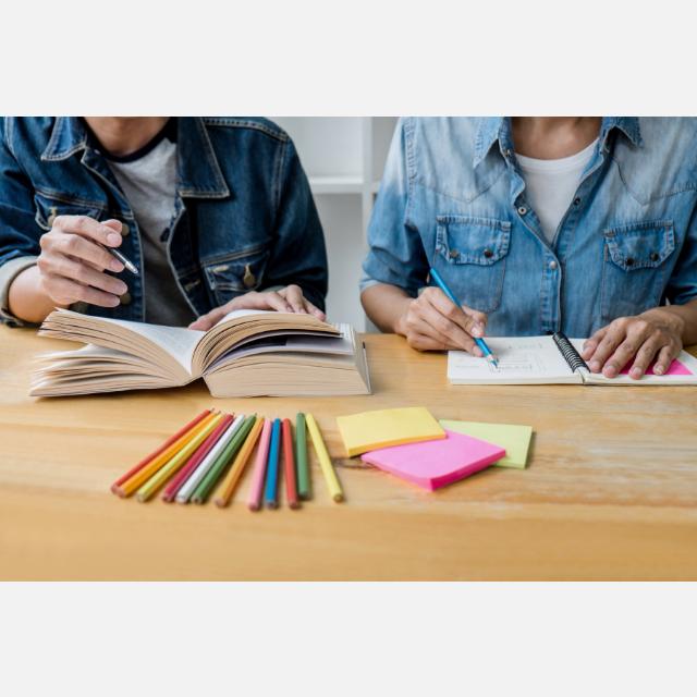 Profesor/a para dar clases particulares - Distintas materias