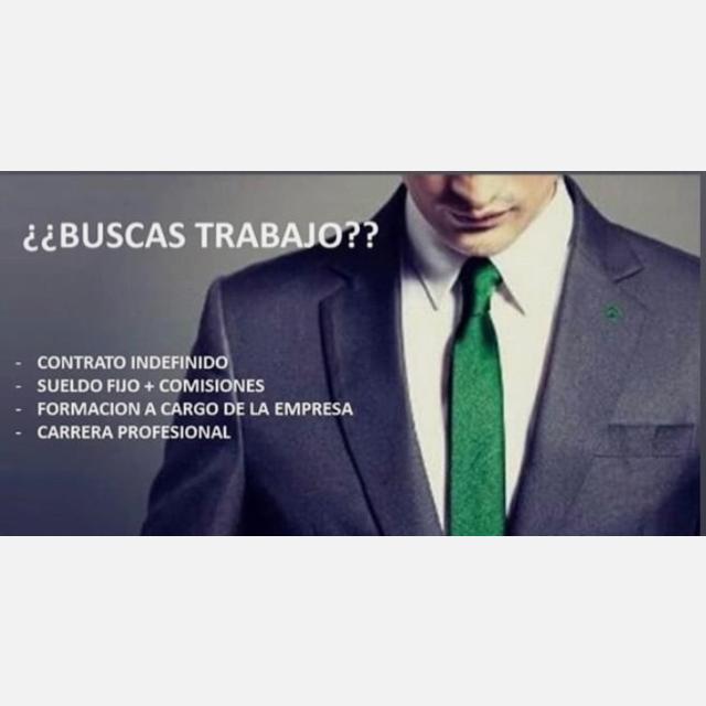 Agente Inmobiliario