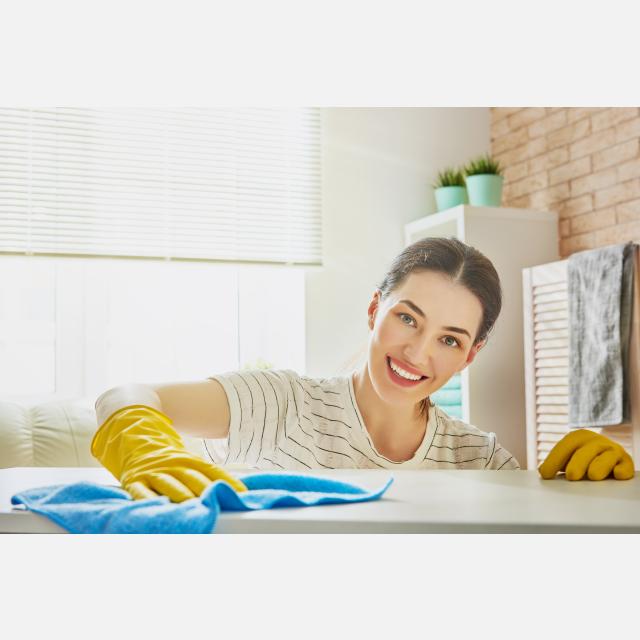 Domestic Cleaner
