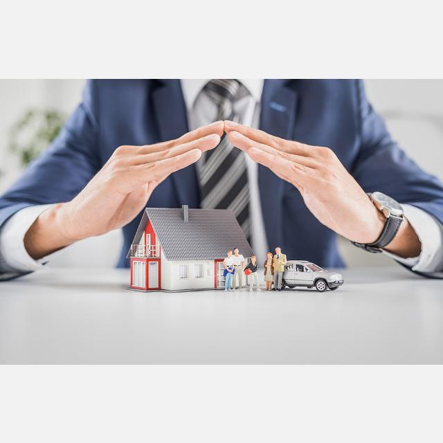 Agente Profesional de Seguros / Asesor Comercial