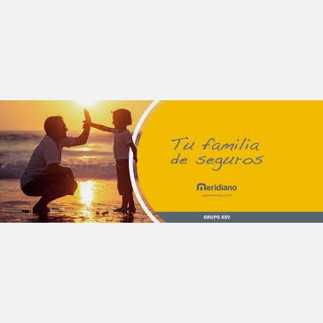 Asesor/a Comercial