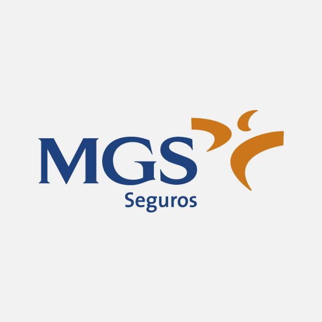 Asesor/a de Seguros